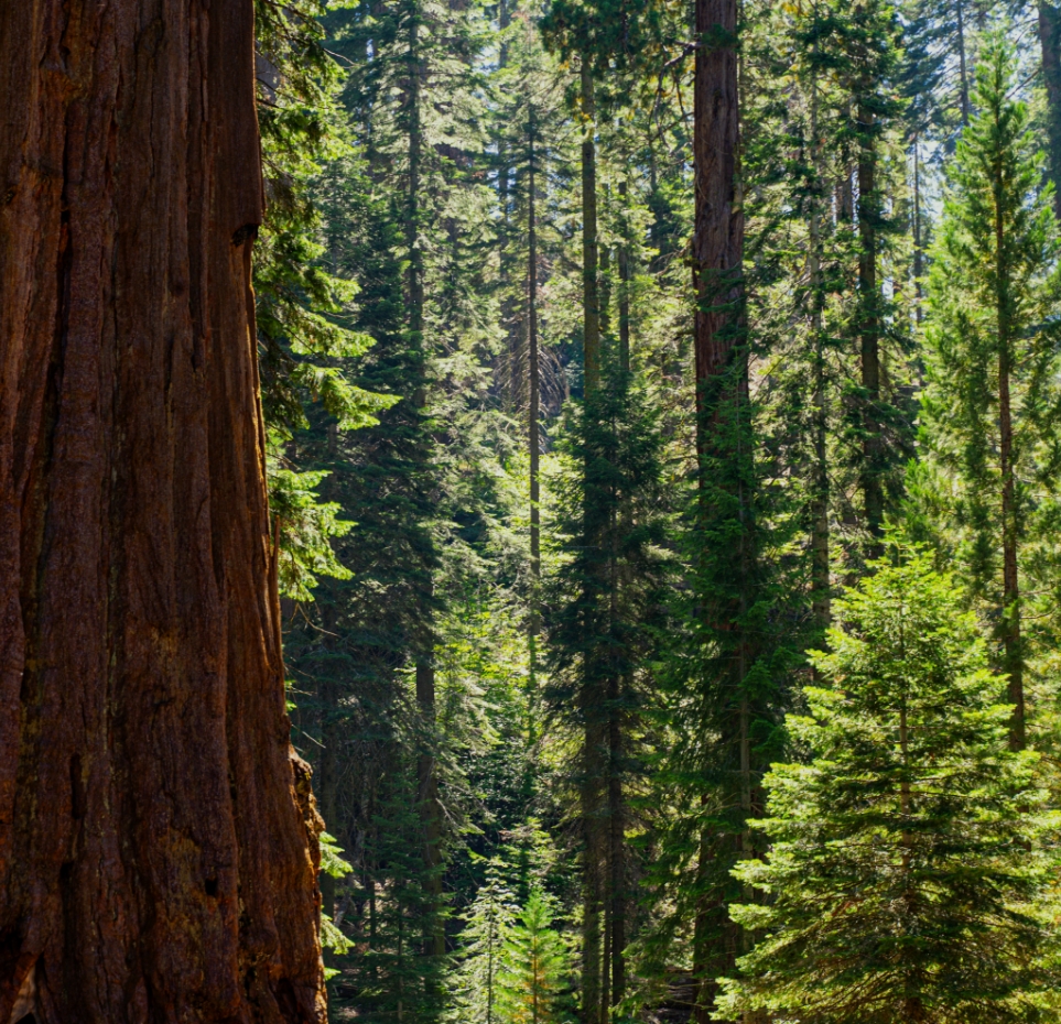 Group 1375 Group 1375