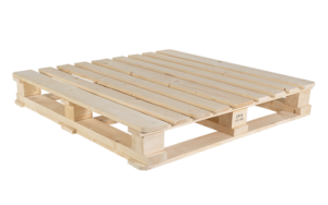 ΚΑΙΝΟΥΡΓΙΑ ΠΑΛΕΤΑ CP9